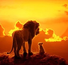 Movie Time - The Lion King